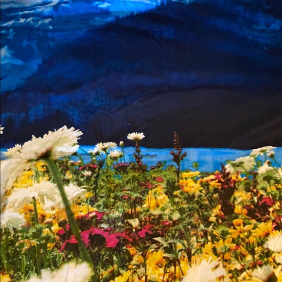 Urban Outfitters Other - Urban Outfitters Wall Floral and Blue Sky Tapestry